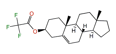 Androst-5-en-3beta-yl trifluoroacetate